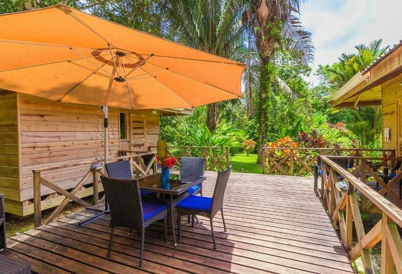 بنجلو قياسى, El Mono Feliz