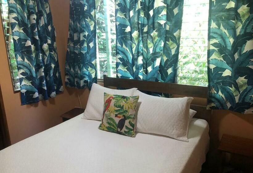 غرفة أساسية, El Mono Feliz