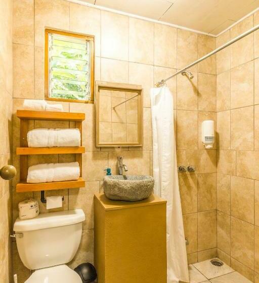 غرفة أساسية, El Mono Feliz