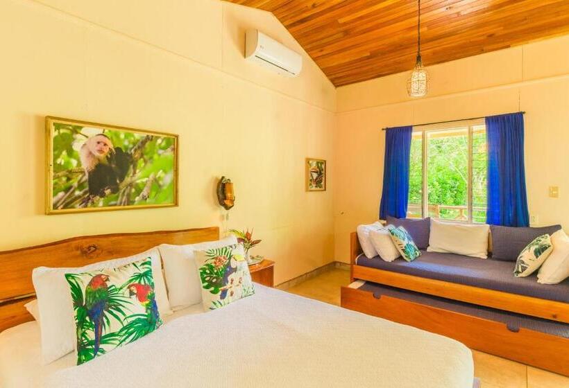 ‫فيلا غرفة نوم واحدة مطلة على الحديقة, El Mono Feliz