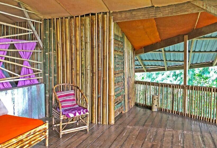 اتاق استاندارد با سرویس بهداشتی مشترک, Cascada Verde Hostel