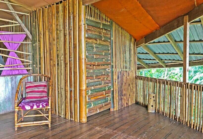 Quarto Estandar Banheiro Compartilhado, Cascada Verde Hostel