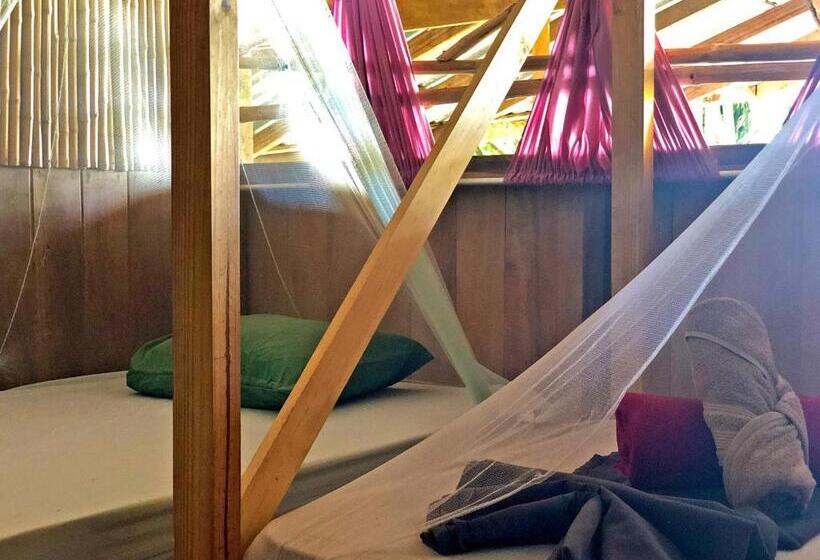 تختخواب در اتاق مشترک, Cascada Verde Hostel