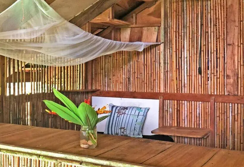 庭の見えるシングルルーム, Cascada Verde Hostel