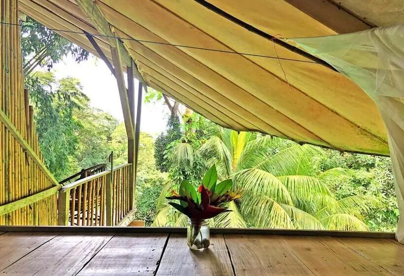 庭の見えるシングルルーム, Cascada Verde Hostel