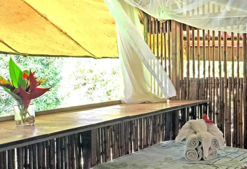 庭の見えるシングルルーム, Cascada Verde Hostel