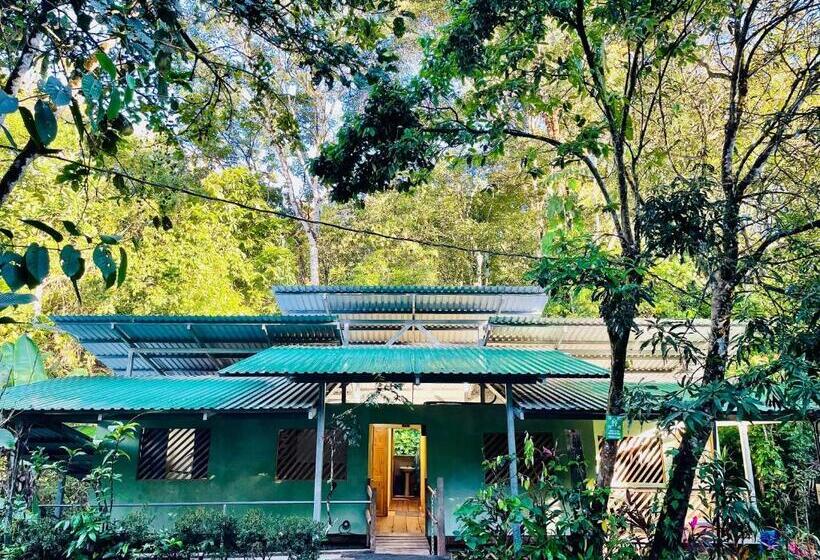 اتاق اکونومی یک تخته, Cascada Verde Hostel