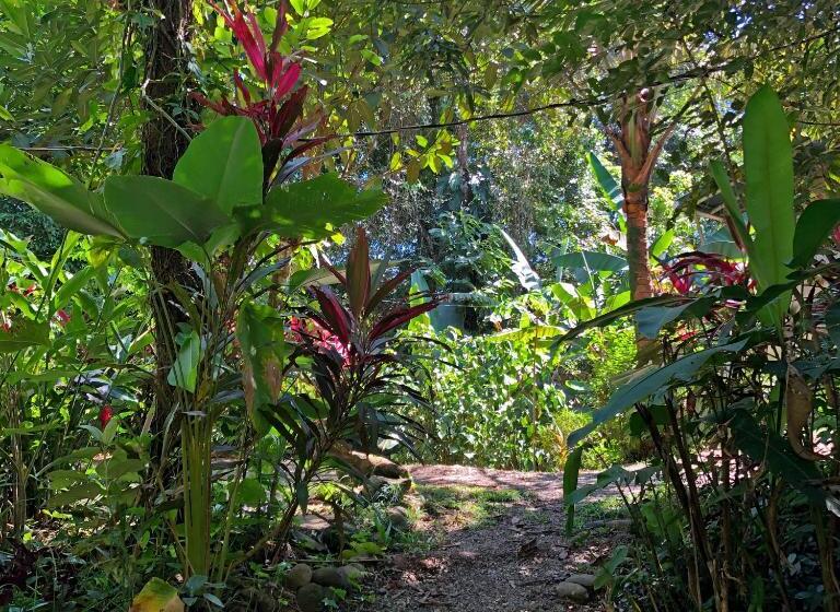 اتاق استاندارد با چشمانداز باغ, Cascada Verde Hostel