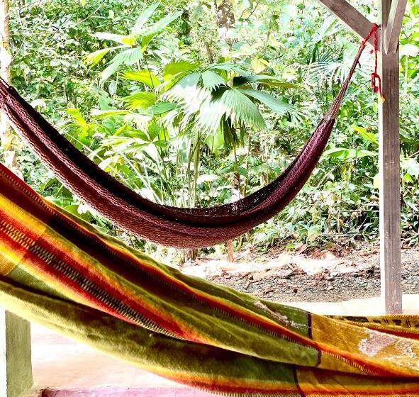 اتاق استاندارد یک تخته با بالکن, Cascada Verde Hostel