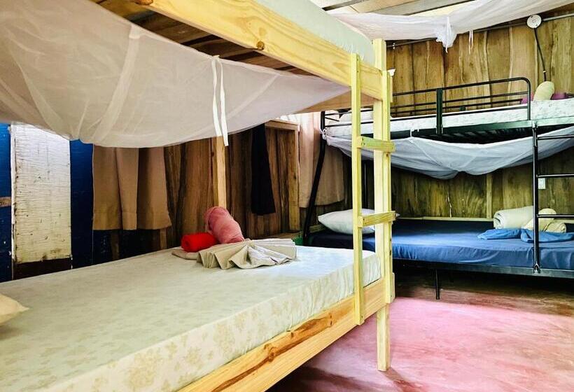 اتاق خانوادگی با سرویس بهداشتی مشترک, Cascada Verde Hostel