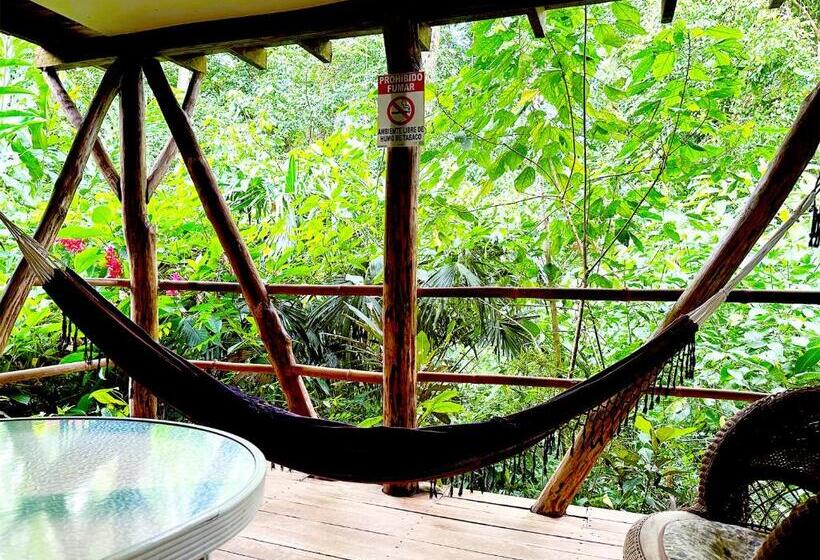 اتاق خانوادگی, Cascada Verde Hostel