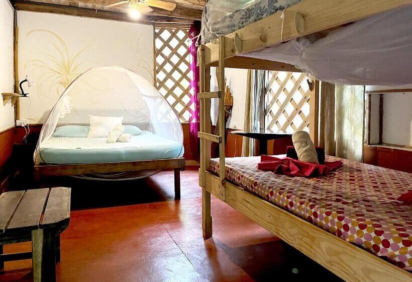 اتاق خانوادگی, Cascada Verde Hostel