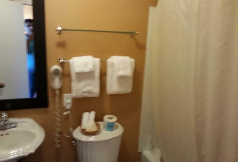 Номер Стандарт, Bracebridge Inn