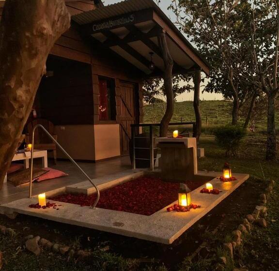 חדר סטנדרט עם טרסה, Colinas Del Miravalles Hotel & Hot Springs