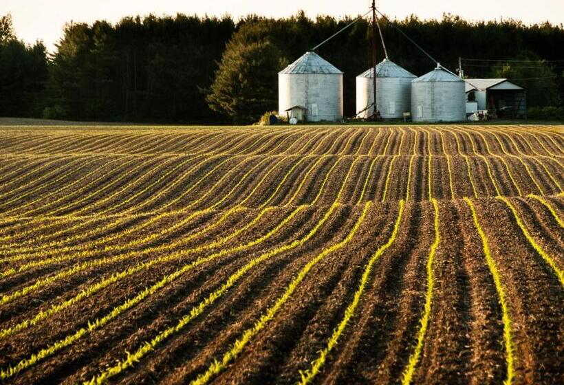 غرفة قياسية, Culverdene House