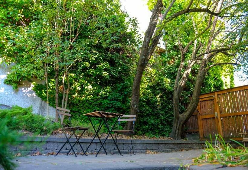 带1个卧室的公寓, Dancing Bear Inn Hostel