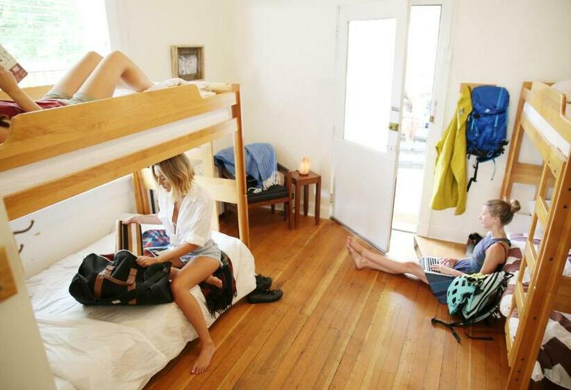 공동 객실, Dancing Bear Inn Hostel