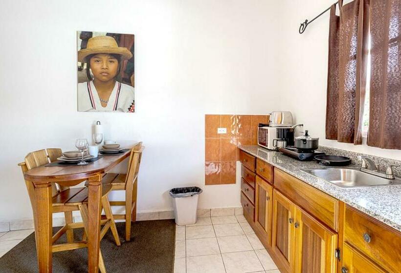 테라스 주니어 스위트, Downtown Suites