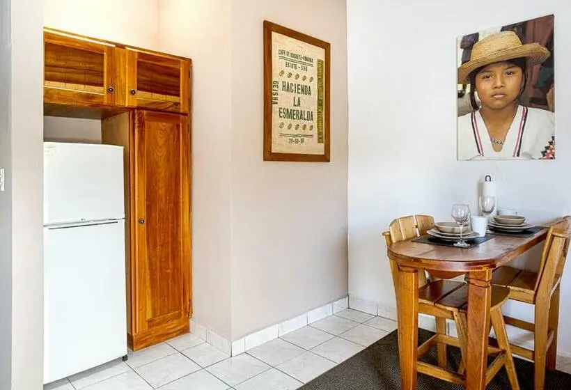 Juniorsviitti Terassi, Downtown Suites
