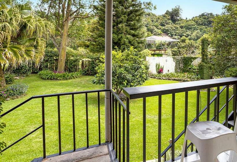 테라스 주니어 스위트, Downtown Suites