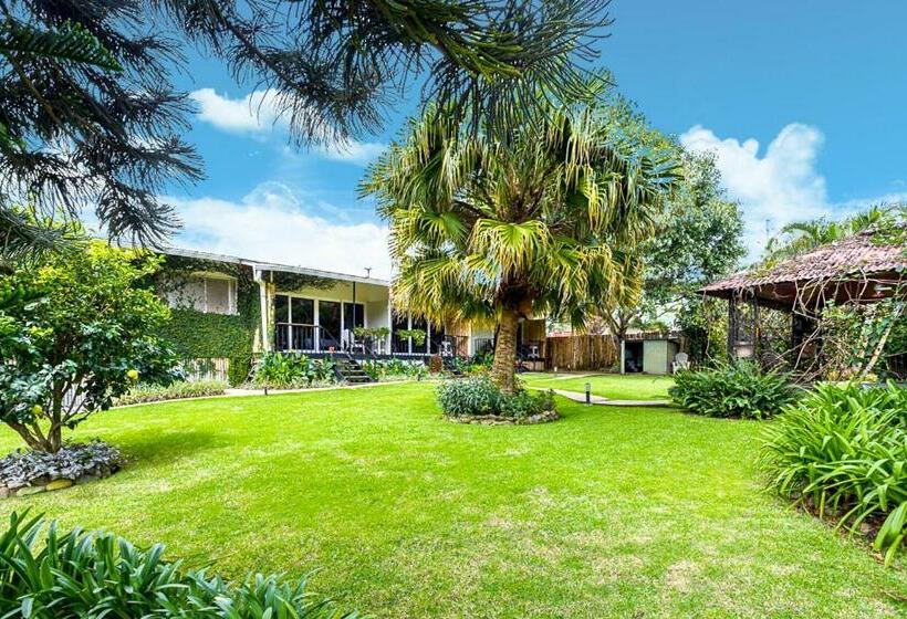 테라스 주니어 스위트, Downtown Suites