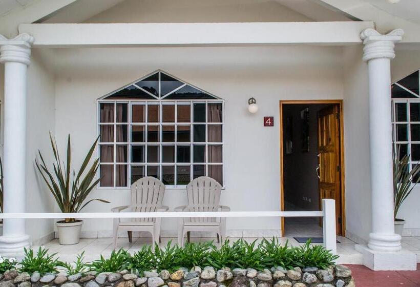 가든 전망 스위트, Downtown Suites