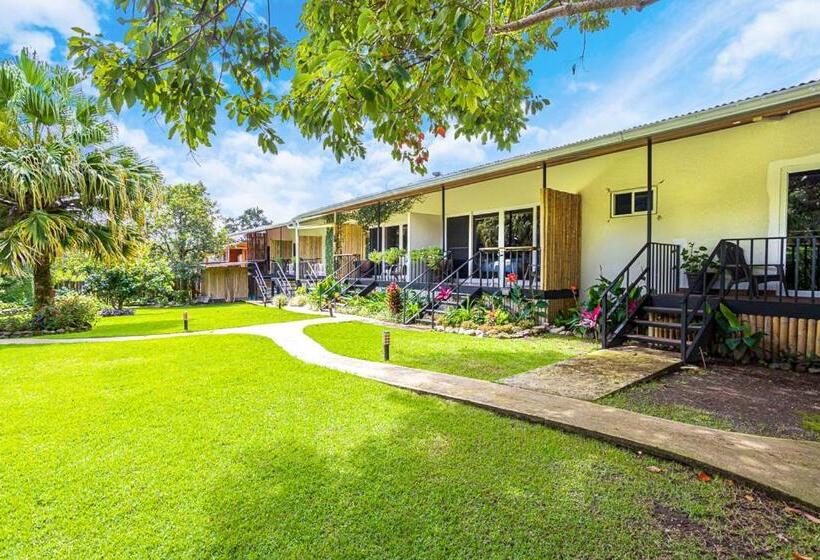 가든 전망 스위트, Downtown Suites