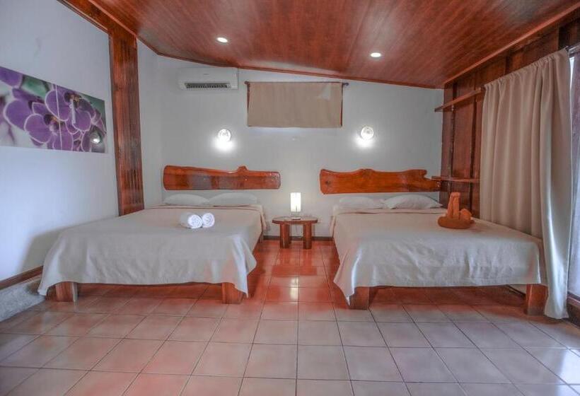 اتاق استاندارد با 2 تخت دوبل, El Jardin