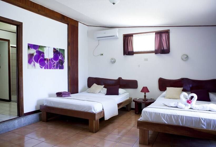 اتاق استاندارد با 2 تخت دوبل, El Jardin