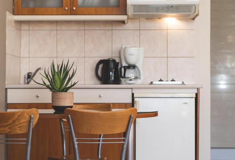 חדר סטודיו סטנדרד, Helios Apartments