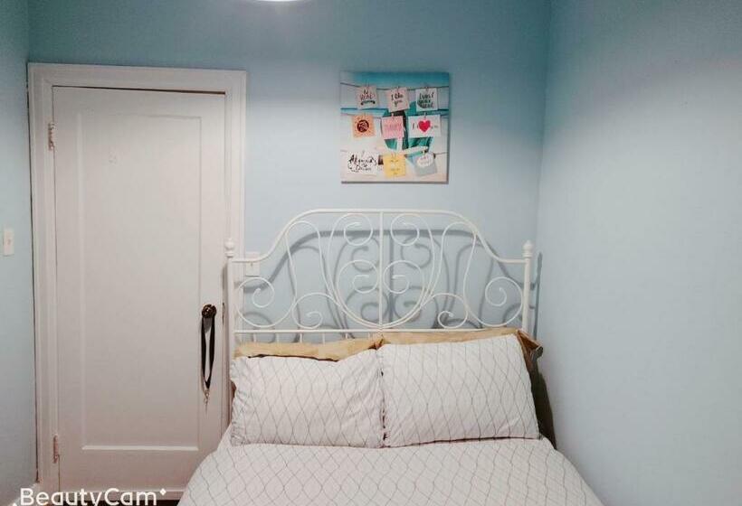 ベーシックルーム, Kensington Market Hostel