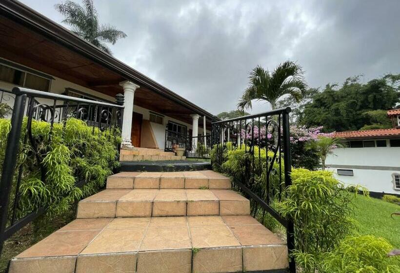 جناح ديلوكس, Martino Spa And Resort