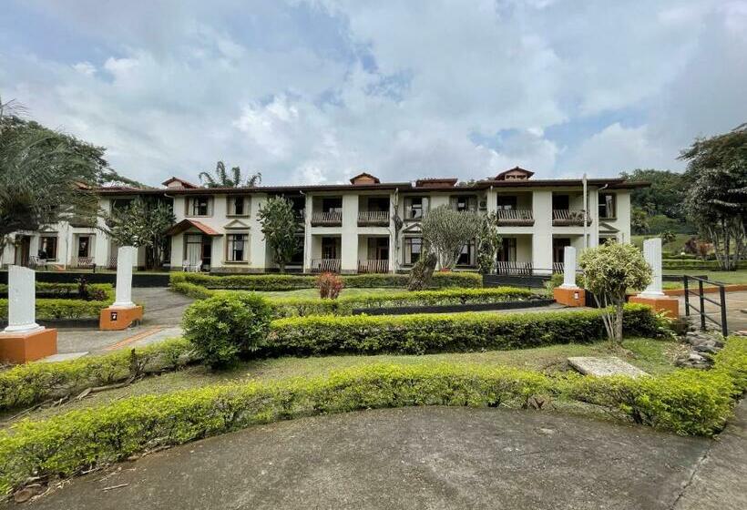 جناح جونيور سوبريور, Martino Spa And Resort