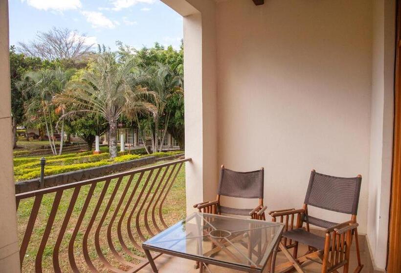 جناح جونيور سوبريور, Martino Spa And Resort