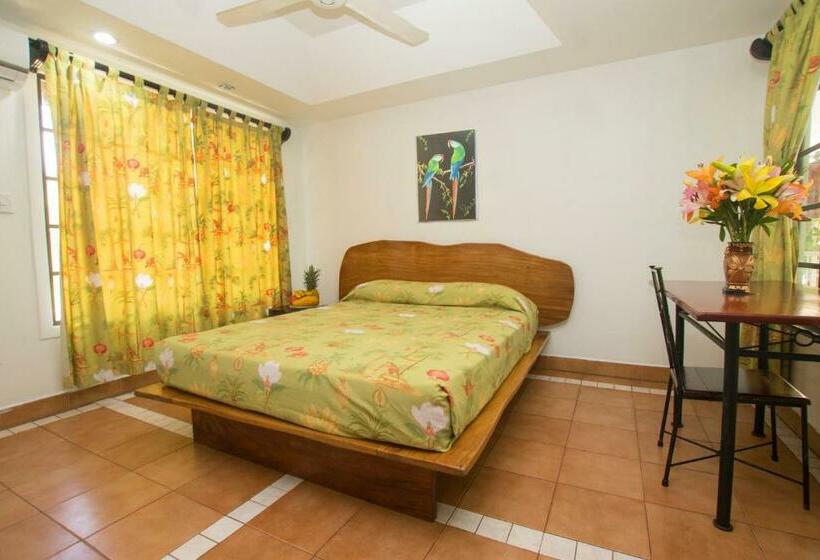 プールビュースタンダードステューディオ, Oceanfront Hotel Verde Mar Direct Access To The Beach