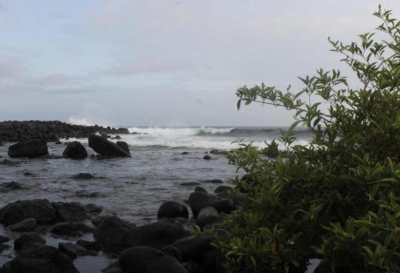 标准间, Los Algarrobos