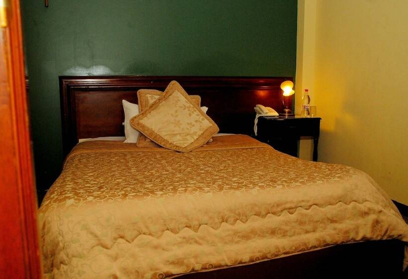 标准单人间, Colony Inn