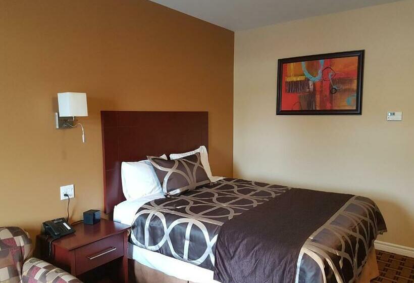 غرفة قياسية, Fox Motor Inn