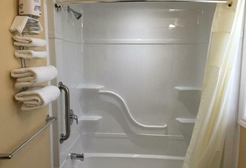 غرفة قياسية, Fox Motor Inn