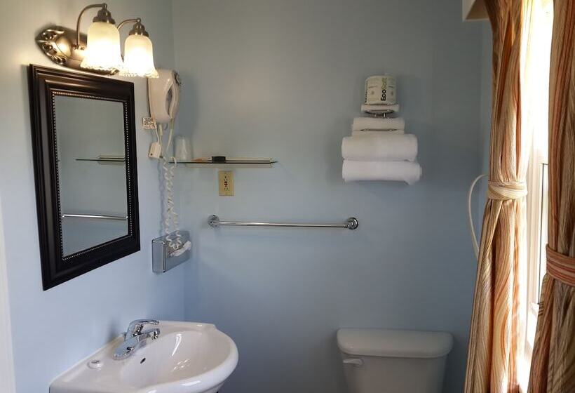 غرفه قياسيه سريرين مزدوجين, Fox Motor Inn