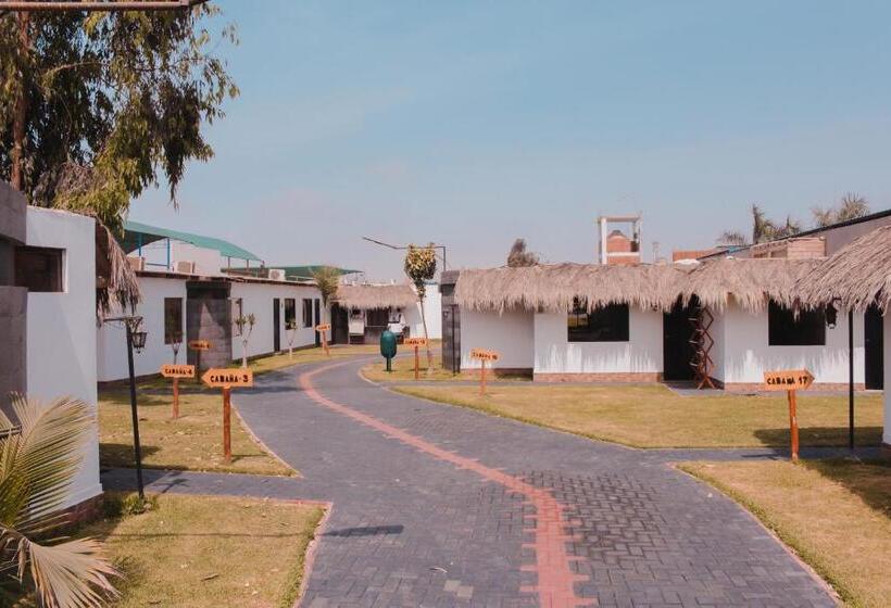 اتاق استاندارد, Resort Thiago