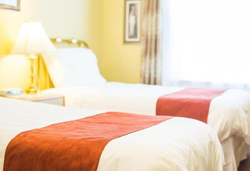 スタンダードルーム, The Harbour House