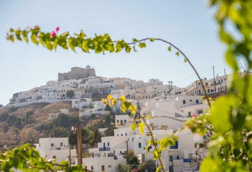 스탠다드 스튜디오, Aphrodite Studios