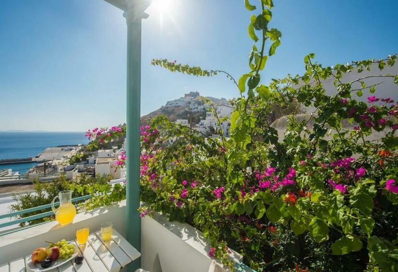 스탠다드 스튜디오, Aphrodite Studios