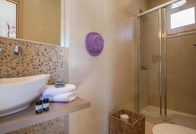 스탠다드 스튜디오, Aphrodite Studios