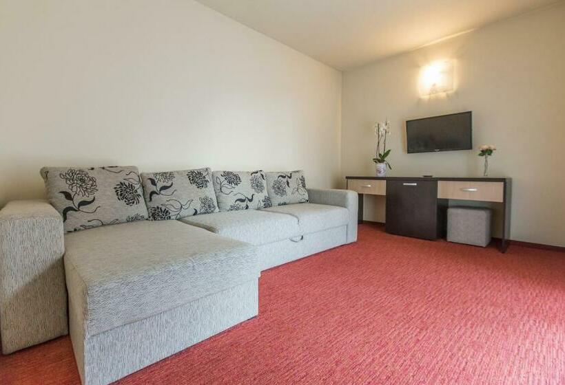 سوییت سوپریور, Bacolux Diana Resort, Herculane