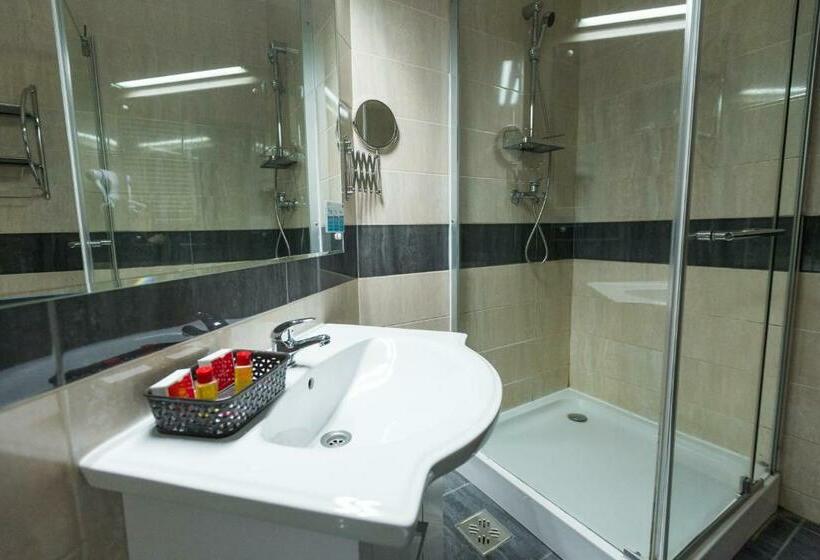 스탠다드 룸, Bacolux Diana Resort, Herculane