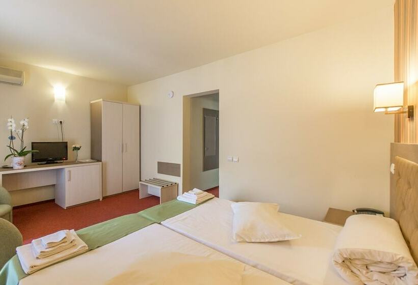 اتاق استاندارد, Bacolux Diana Resort, Herculane