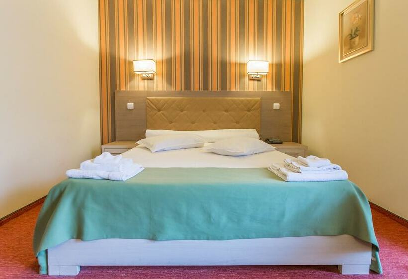 스탠다드 룸, Bacolux Diana Resort, Herculane