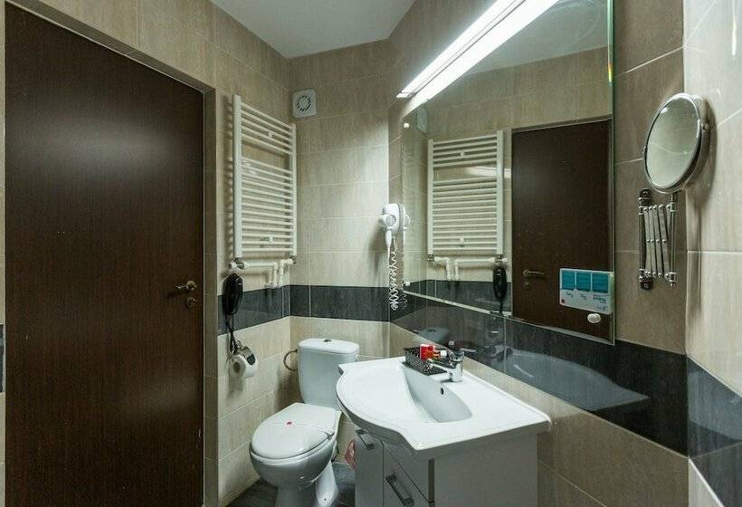 스탠다드 룸, Bacolux Diana Resort, Herculane